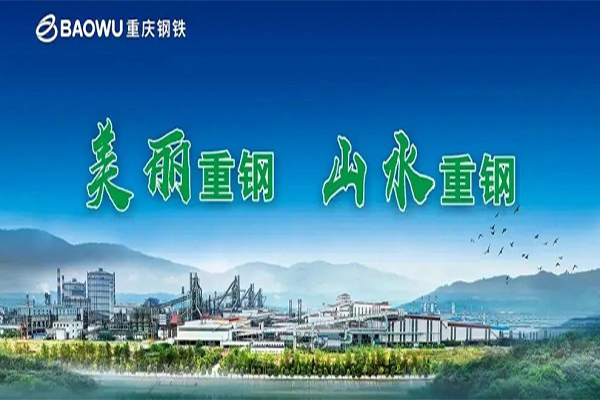 【重慶鋼鐵股份有限公司煉鋼廠(chǎng)項(xiàng)目】橡膠軟連接